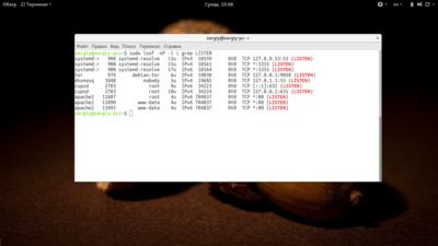 netstat – проверка открытых портов в Linux