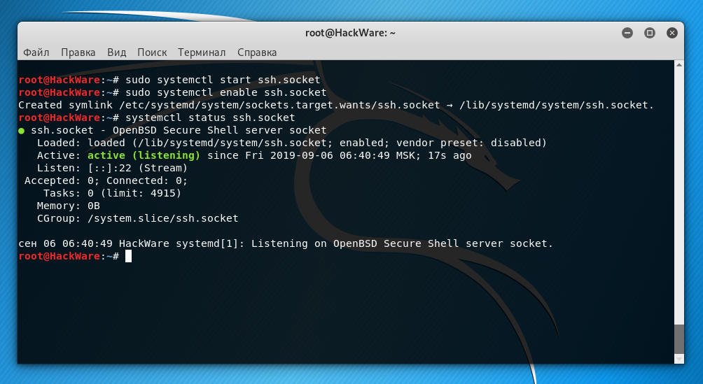 Systemctl enable. Как подключиться по SSH Linux. SSH узнать IP. Kali Linux. Kali Linux информация по IP.