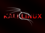 Как обновить Kali Linux
