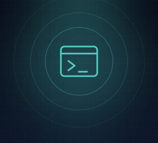 Обложка статьи: Как настроить сетевые параметры в Debian